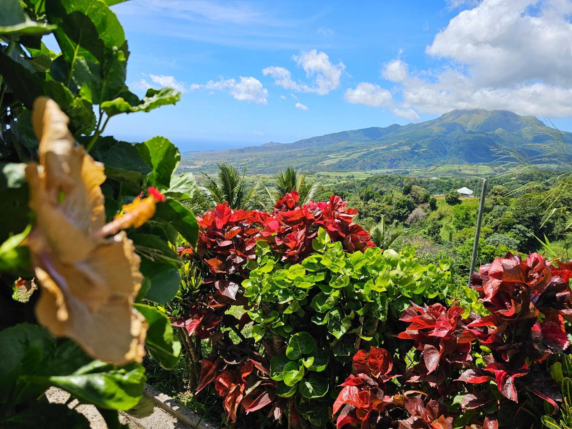 Le Hameau Du Morne Des Cadets Villa Fond-Saint-Denis Exteriör bild