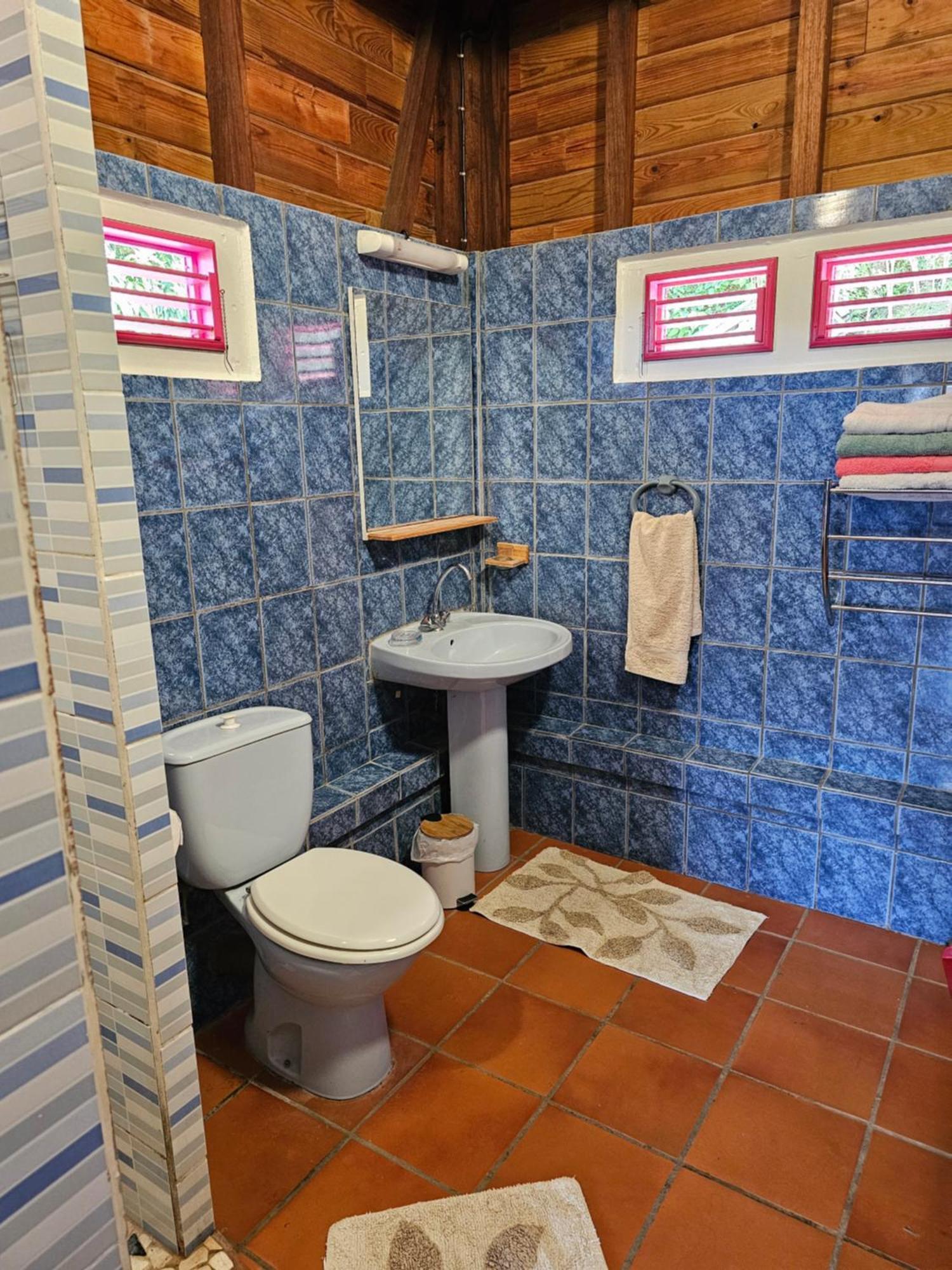 Le Hameau Du Morne Des Cadets Villa Fond-Saint-Denis Rum bild