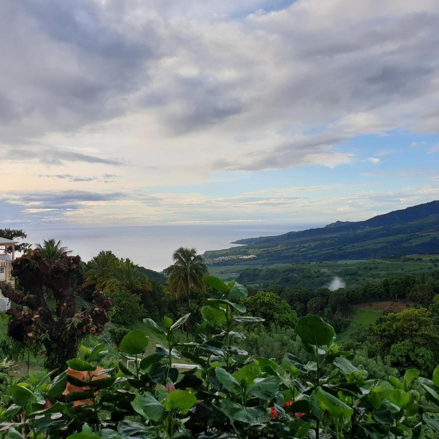 Le Hameau Du Morne Des Cadets Villa Fond-Saint-Denis Exteriör bild