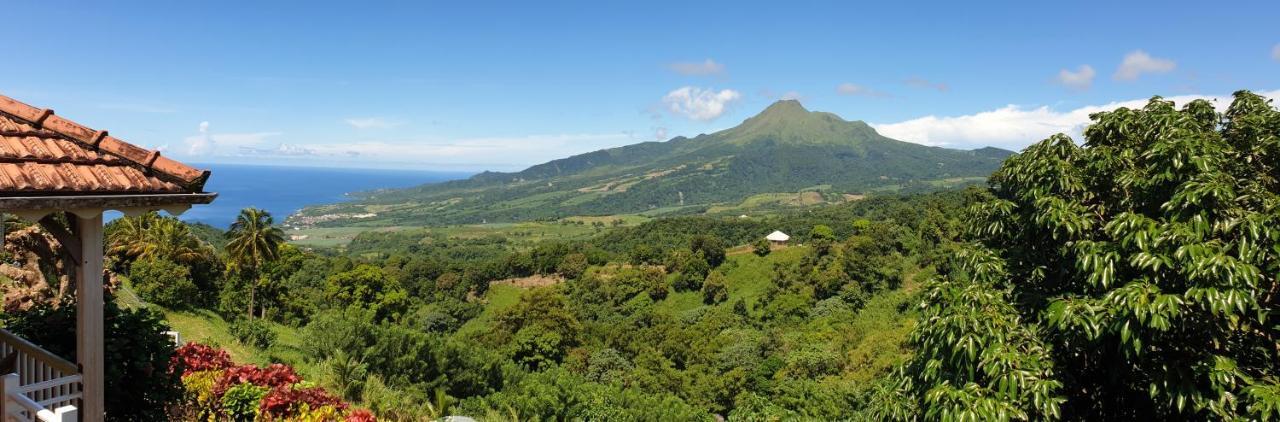 Le Hameau Du Morne Des Cadets Villa Fond-Saint-Denis Exteriör bild